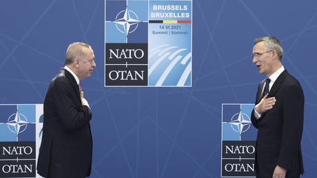 Турция не позволит «сторонникам терроризма» вступить в НАТО