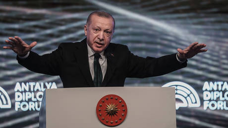 Турция выступает против заявки Финляндии и Швеции на членство в НАТО