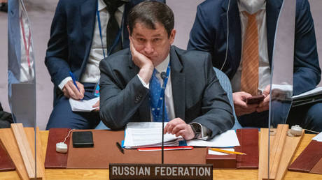 Совет Безопасности ООН обсудил украинский кризис