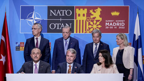 Глава МИД Финляндии рассказал, что помогло выйти из тупика в переговорах НАТО с Турцией
