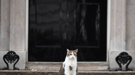 Игра премьер-министра Джонсона в кошки-мышки скоро закончится