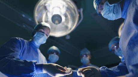Исследователи делают шаг к пересадке органов животных людям