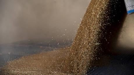 ООН прокомментировала сделку по экспорту зерна из Украины