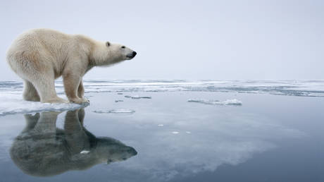 Россия предупреждает об опасности для Арктики