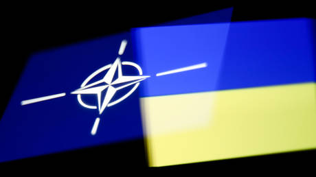 Украина не признает возможности вступления в НАТО в ближайшее время