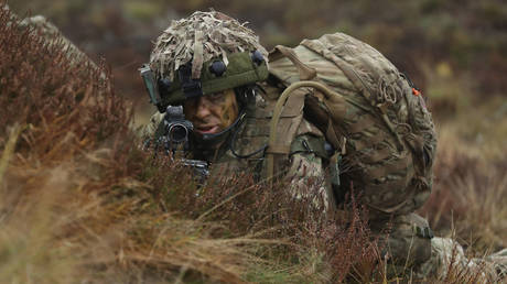Упадок вооруженных сил Великобритании разоблачает крах доверия и потенциала НАТО