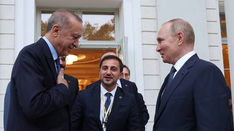 Дипломатия Эрдогана с Россией тревожит Запад