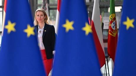 Посещение Европы — это привилегия — государство-член ЕС о предложенном запрете на въезд в Россию