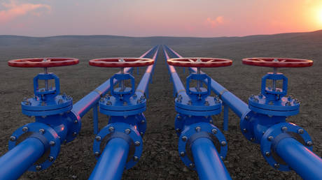 Украина должна «конфисковать» российский газ