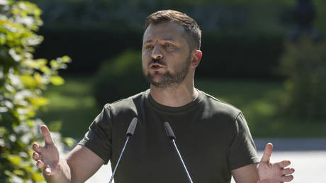 Зеленский обвинил Amnesty International в поддержке терроризма