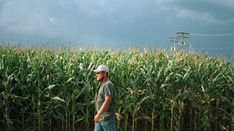 Франция соберет худший урожай кукурузы за последние десятилетия