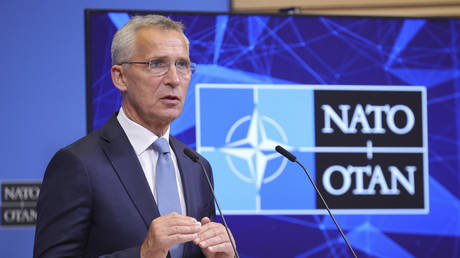 Глава НАТО осудил «фиктивные» референдумы на Донбассе