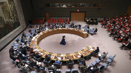 Россия созовет Совет Безопасности ООН