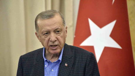 Терпение Турции «истощается» — Эрдоган