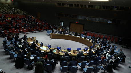 Турция настаивает на снятии вето в ООН