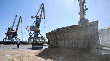 «Впереди много работы» по снятию санкций с экспорта российского зерна