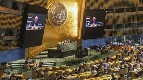 ООН голосует за «территориальную целостность» Украины