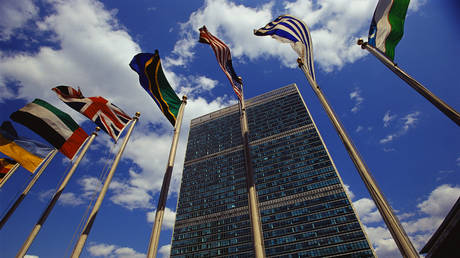 Украина призывает к «мирному саммиту» при посредничестве ООН