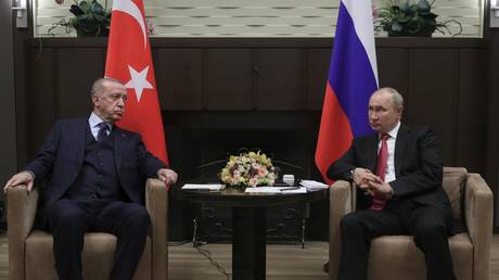 Путин и Эрдоган обсудили «приоритеты»