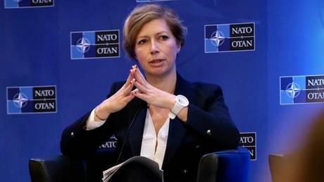 Франция комментирует перспективы вступления Украины в НАТО