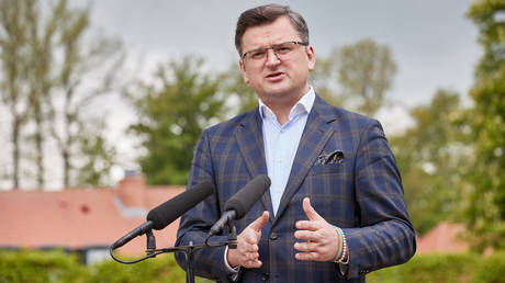 Высокопоставленный киевский дипломат критикует немецких пацифистов