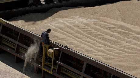 Еще одно государство ЕС вводит запрет на украинское зерно