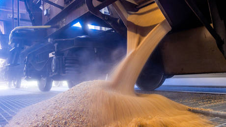 Польша «временно запретит» импорт украинского зерна