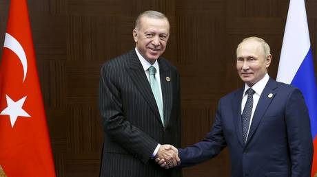 Эрдоган приветствует «особые отношения» с Путиным