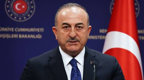 Правительство Турции осуждает заявления о «вмешательстве России в выборы»