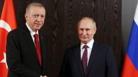 Путин поздравил «хорошего друга» Эрдогана с выборами в Турции