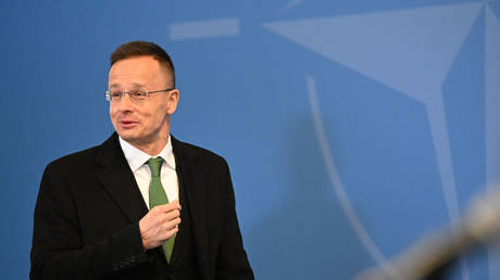 Венгрия выступила с упреком в НАТО Зеленскому