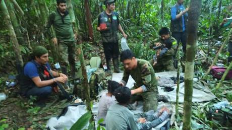 Дети выживают 40 дней в джунглях после авиакатастрофы