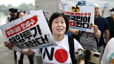 Глава ООН по ядерному надзору встретился с протестами в Южной Корее