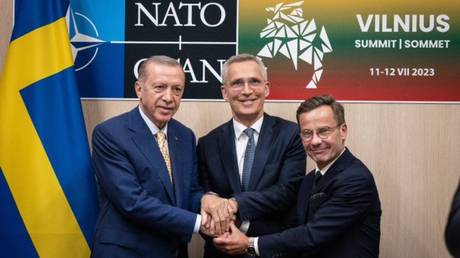Турция согласилась поддержать заявку Швеции на членство в НАТО