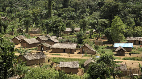 Центральноафриканская страна стремится к членству в БРИКС