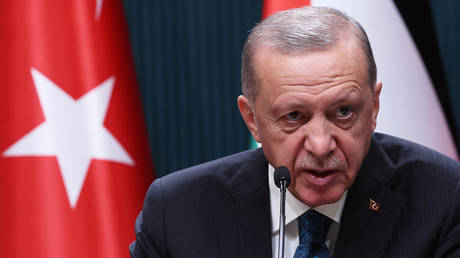 Турция комментирует возможное военное вмешательство в Нигере