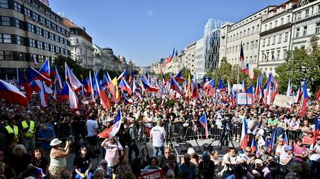 Тысячи людей протестуют против прозападного правительства страны ЕС