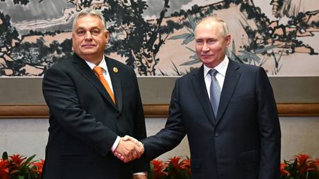 Посланцы НАТО проводят «экстренное совещание» по переговорам Путин-Орбан
