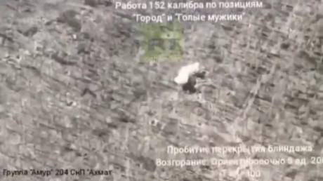 Российская артиллерия уничтожает украинские позиции (видео)