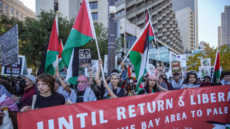 Пропалестинские протесты «антисемитские» – посол Израиля — RT World News