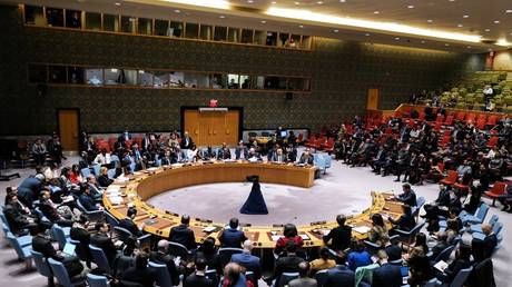 Чехия «боится» присутствовать на заседании ООН