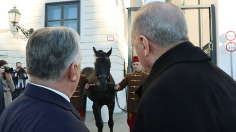 Орбан подарил Эрдогану лошадь