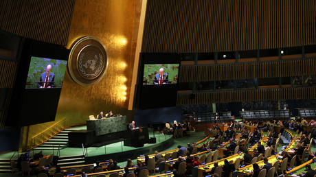 Почти 50 стран проголосовали против антинацистской резолюции ООН