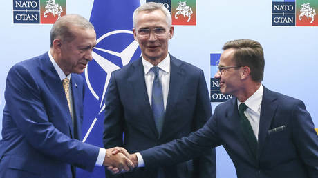 Эрдоган подписал соглашение о расширении НАТО