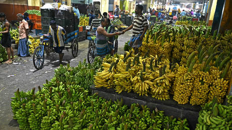 Индия рассматривает возможности рынка бананов в России