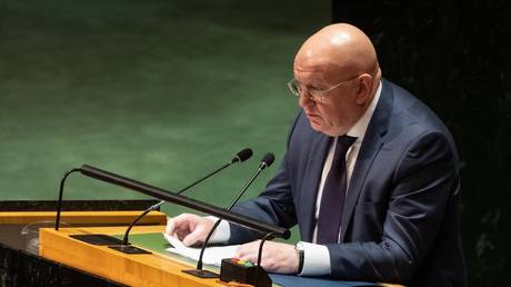 Нет такого понятия, как «оккупированные украинские территории», заявила Россия ООН