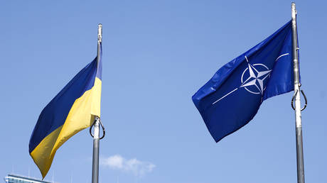 Украине не следует надеяться на заявку в НАТО – Великобритания