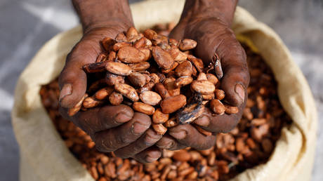 Гиганты какао сокращают производство – Reuters