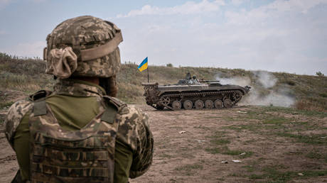 Дополнительный призыв может вызвать «панику» на Украине