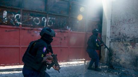Эксперт ООН предупреждает об «апокалиптической» ситуации на Гаити